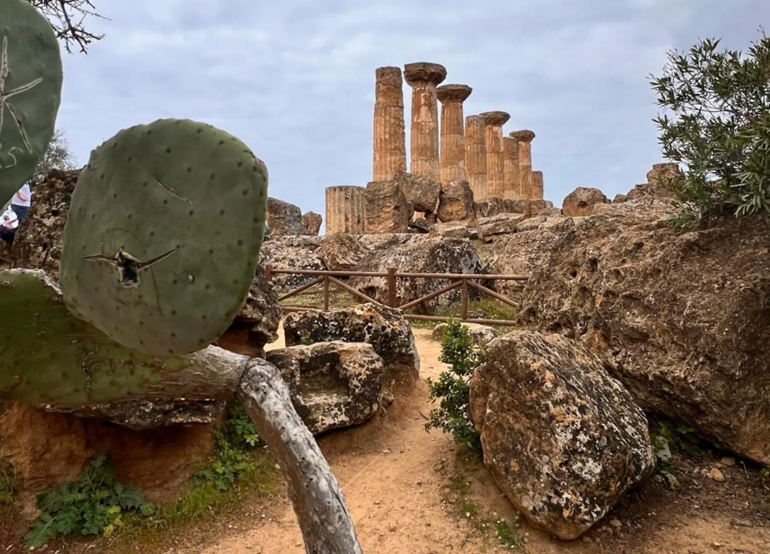 La Casa Di Fili Apartment Agrigento Italy